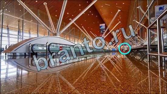 ответы на игру Где же кот в одноклассниках Уровень 3623