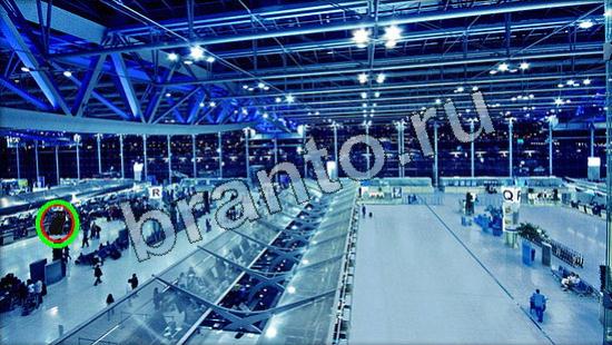 решения для игры Где же кот Уровень 3628