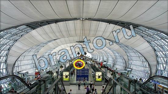 решения на игру Где же кот Уровень 3635