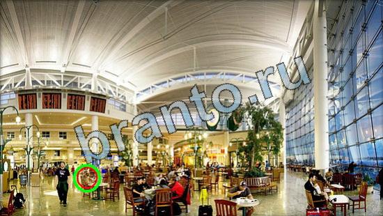 ответы на игру Где же кот Уровень 3636