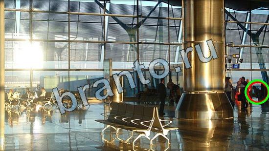 ответы в картинках на игру Где же кот Уровень 3637