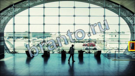 Где же кот ответы в одноклассниках Уровень 3639