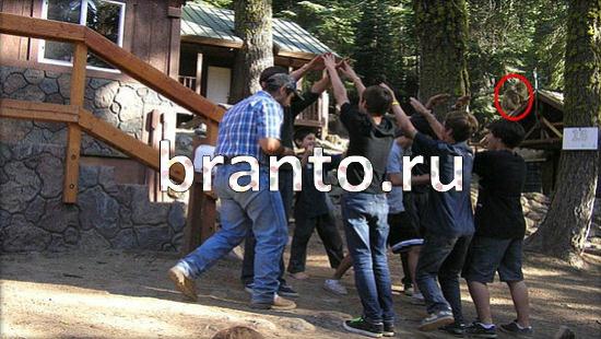 ответы на игру Где же кот Уровень 241