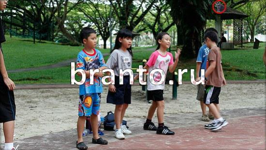 Помощь на игру Где же кот Уровень 244