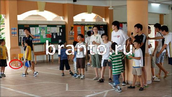 ответы к игре Где же кот Уровень 245