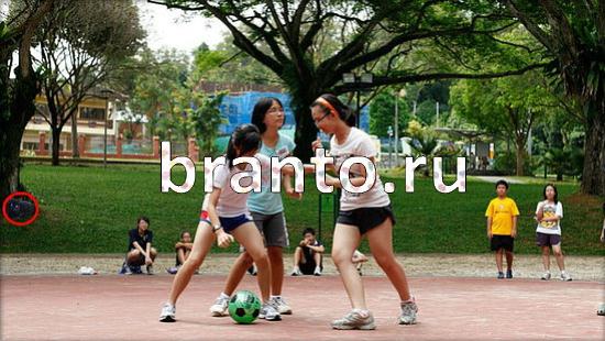 Где же кот? ответы Уровень 248