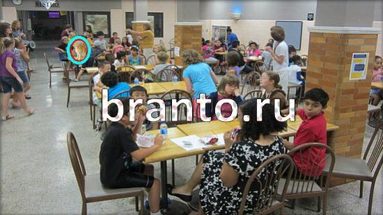 Где же кот? подсказки Уровень 249