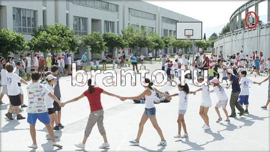 Где же кот? решения Уровень 252