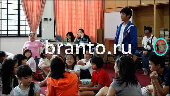 Где же кот игра подсказки Уровень 254