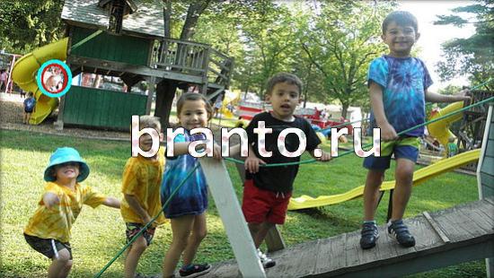 Где же кот игра помощь Уровень 255