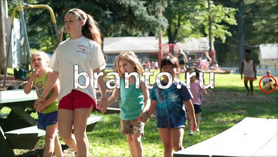 игра Где же кот помощь Уровень 259