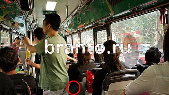 прохождение на игру Где же кот Уровень 261