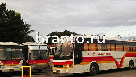 ответы на игру Где же кот в одноклассниках Уровень 263