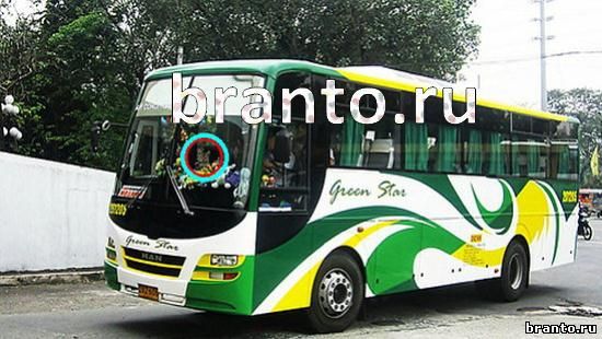 Прохождение игры Где же кот Уровень 264