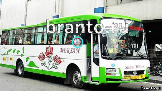 ответы Где же кот Уровень 265