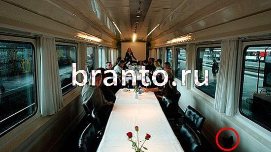 ответы Где же кот? в одноклассниках Уровень 266