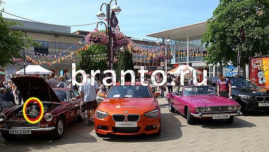 ответы на игру Где же кот Уровень 276