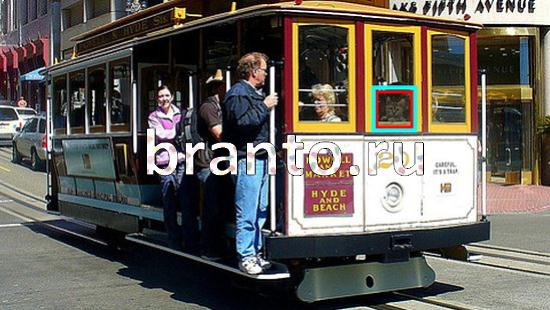 ответы на игру Где же кот Уровень 277