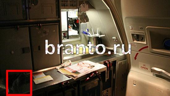 ответы на игру Где же кот Уровень 280