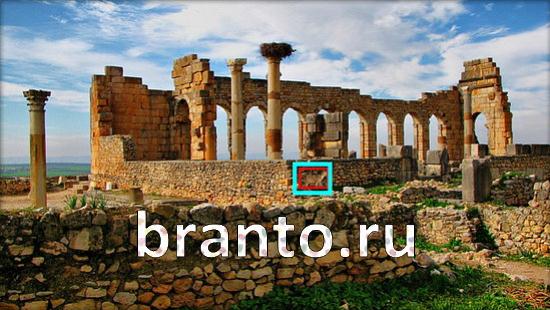 ответы на игру в одноклассниках Где же кот Уровень 366