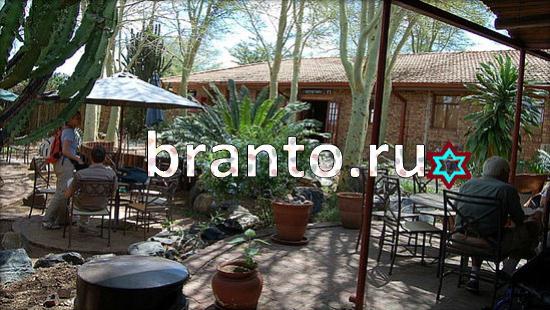 Где же кот? ответы Уровень 368