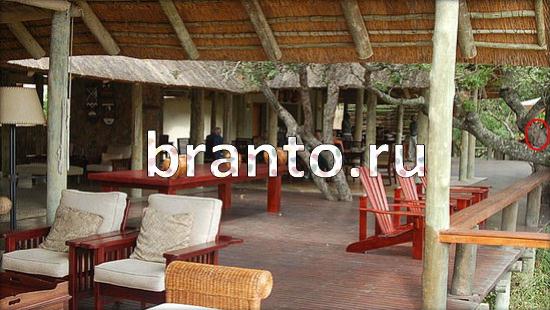 Где же кот? подсказки Уровень 369