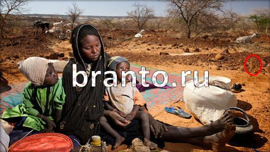 Где же кот игра помощь Уровень 375