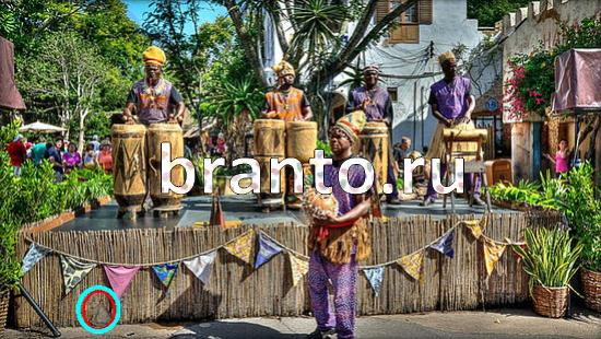 Игра Где же кот ответы Уровень 377