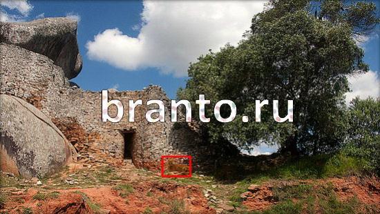 Игра Где же кот подсказки Уровень 378