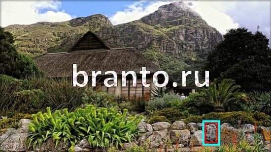 игра Где же кот помощь Уровень 379