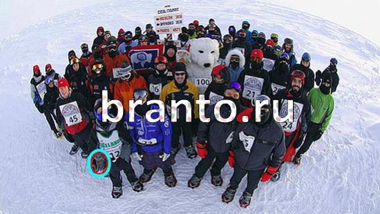 Где же кот прохождение игры Уровень 382