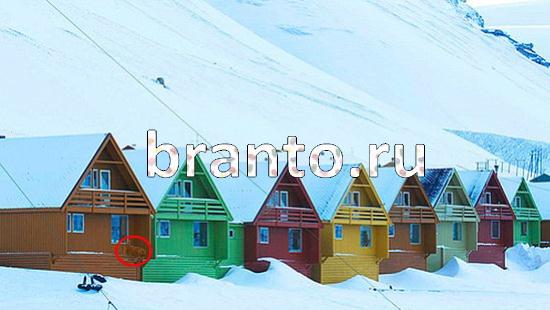 Прохождение игры Где же кот Уровень 384