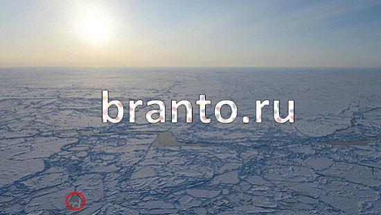 ответы Где же кот Уровень 385