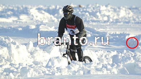 ответы для игры Где же кот Уровень 387