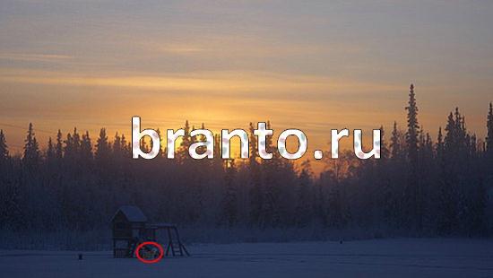 решения для игры Где же кот Уровень 388