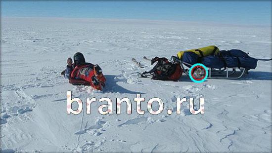 игра в одноклассниках Где же кот ответы Уровень 390