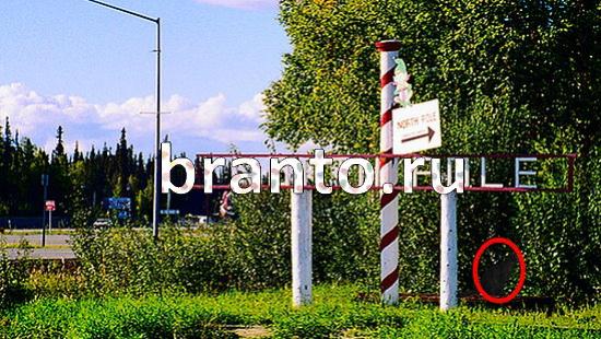 Где же кот помощь в картинках Уровень 391