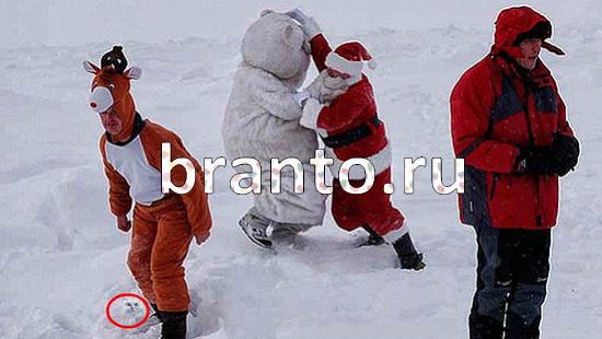 ответы на игру Где же кот в скриншотах Уровень 392