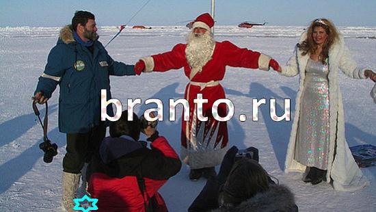 ответы на игру Где же кот Уровень 393