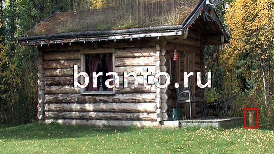 ответы на игру Где же кот Уровень 395