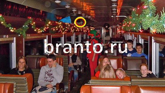 ответы на игру Где же кот Уровень 396