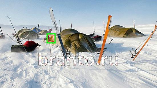 ответы на игру Где же кот Уровень 398