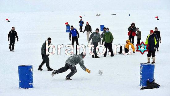 ответы на игру Где же кот Уровень 399