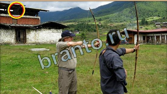 ответы к игре Где же кот Уровень 3645