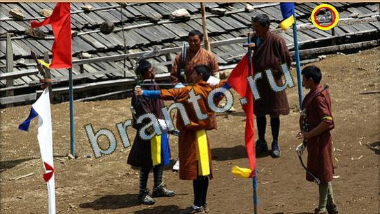 ответы на игру в одноклассниках Где же кот Уровень 3646