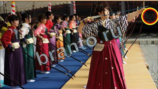 Где же кот игра ответы в одноклассниках Уровень 3647