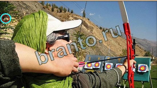 Где же кот? ответы Уровень 3648