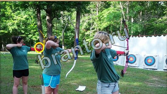 Где же кот? подсказки Уровень 3649