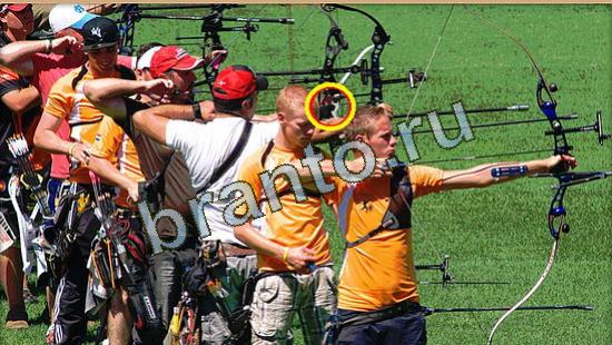 Где же кот игра подсказки Уровень 3654