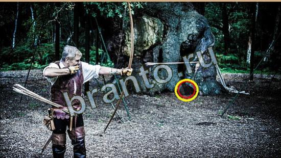 Игра Где же кот ответы Уровень 3657